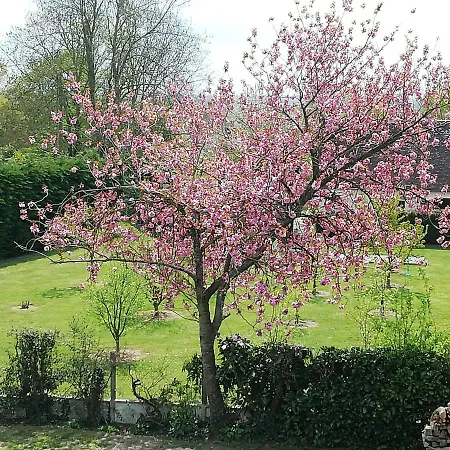 펜션 Maella- En Normandie, Confort, Et Piscine