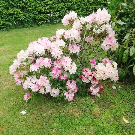Maella- En Normandie, Confort, Et Piscine 펜션 Saint-Michel-Tuboeuf