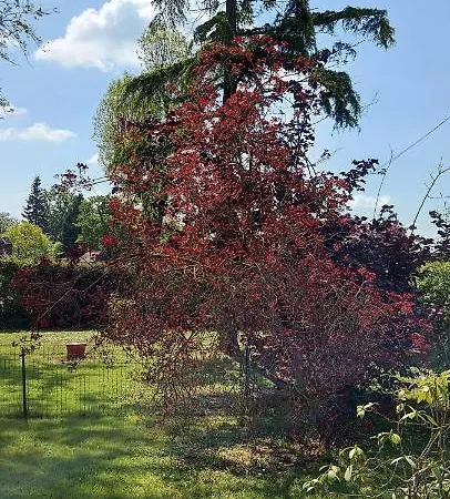 Maella- En Normandie, Confort, Et Piscine