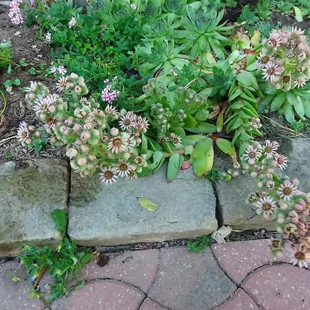 펜션 Maella- En Normandie, Confort, Et Piscine *