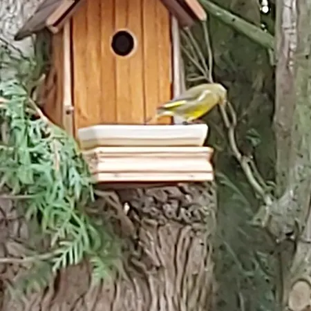 Maella- En Normandie, Confort, Et Piscine 펜션 Saint-Michel-Tuboeuf