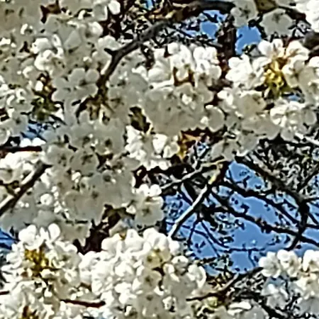 Maella- En Normandie, Confort, Et Piscine *