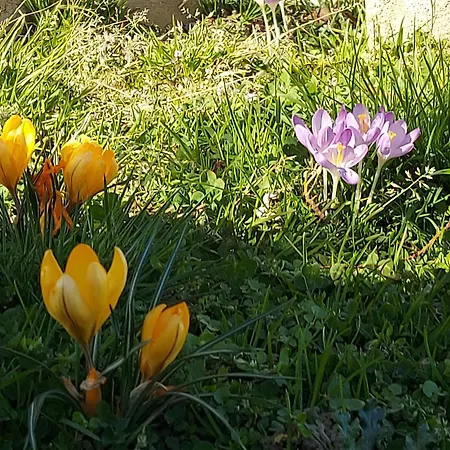 Maella- En Normandie, Confort, Et Piscine 펜션 Saint-Michel-Tuboeuf