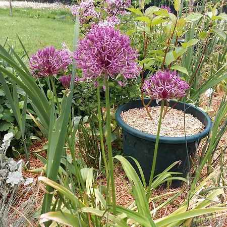 Maella- En Normandie, Confort, Et Piscine Saint-Michel-Tuboeuf