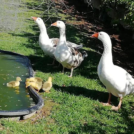 펜션 Maella- En Normandie, Confort, Et Piscine *