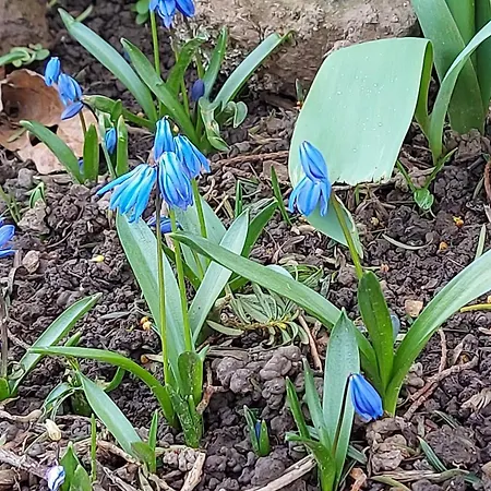 펜션 Maella- En Normandie, Confort, Et Piscine Saint-Michel-Tuboeuf