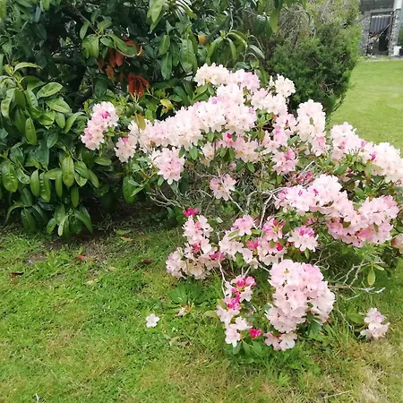 펜션 Maella- En Normandie, Confort, Et Piscine *