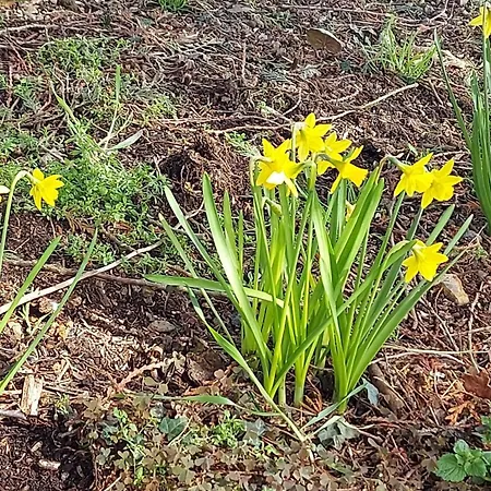 Maella- En Normandie, Confort, Et Piscine 펜션 Saint-Michel-Tuboeuf