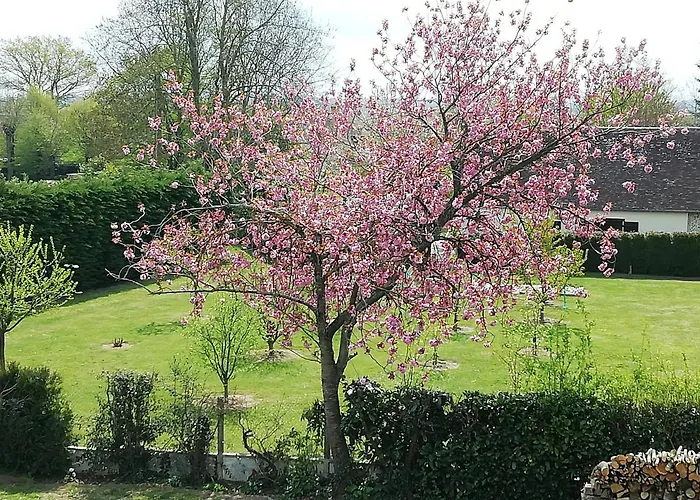 Holiday home Maella- En Normandie, Confort, Et Piscine
