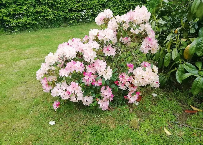 Maella- En Normandie, Confort, Et Piscine Holiday home Saint-Michel-Tuboeuf