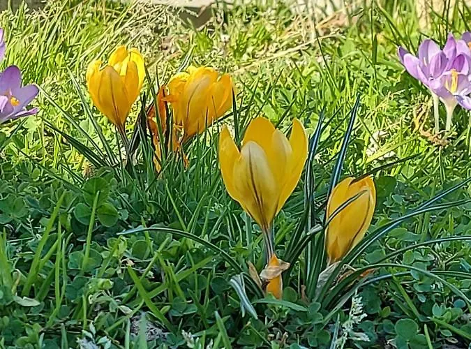 Maella- En Normandie, Confort, Et Piscine