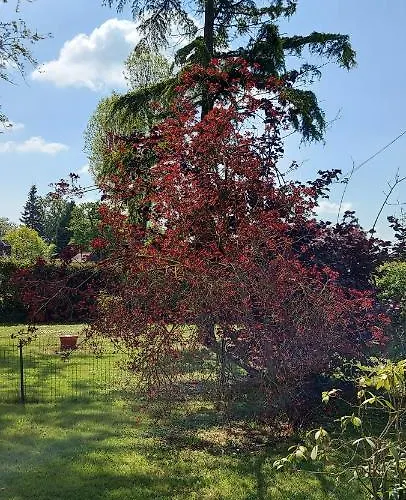 Maella- En Normandie, Confort, Et Piscine