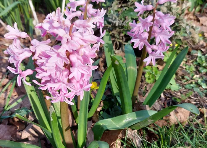 Maella- En Normandie, Confort, Et Piscine