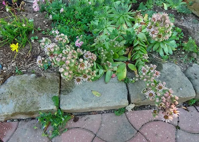 別荘 Maella- En Normandie, Confort, Et Piscine *