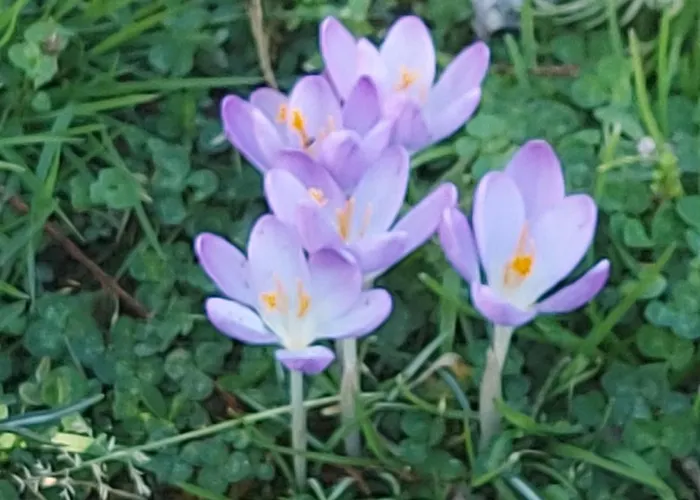 Maella- En Normandie, Confort, Et Piscine * Saint-Michel-Tuboeuf