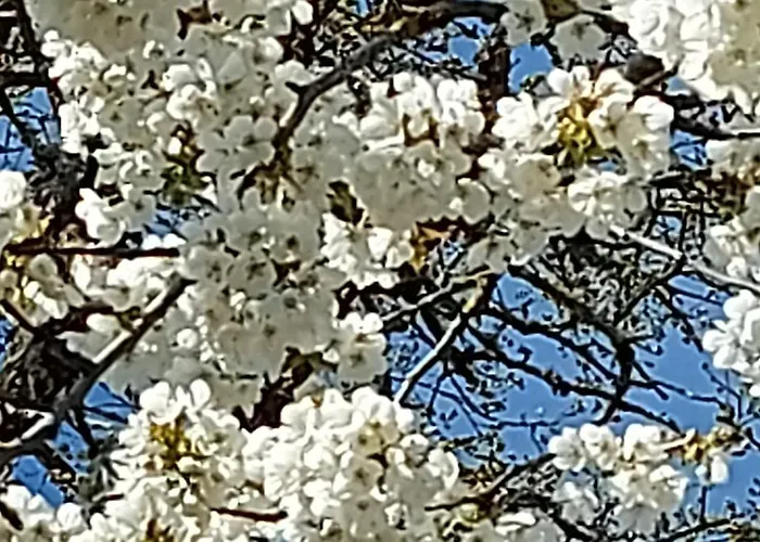 Maella- En Normandie, Confort, Et Piscine *