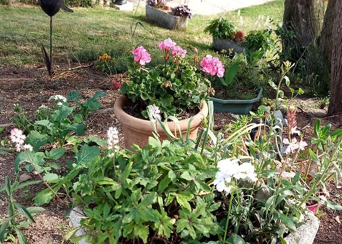 Maella- En Normandie, Confort, Et Piscine Saint-Michel-Tuboeuf