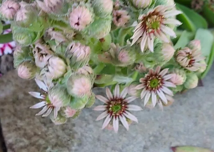 Maella- En Normandie, Confort, Et Piscine
