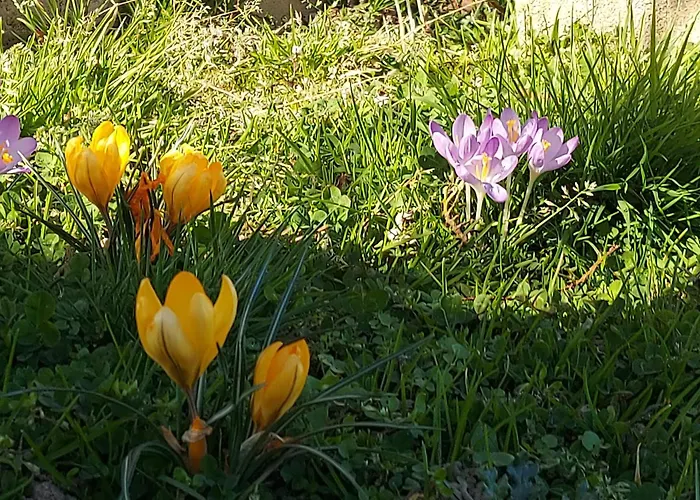 Maella- En Normandie, Confort, Et Piscine 別荘 Saint-Michel-Tuboeuf
