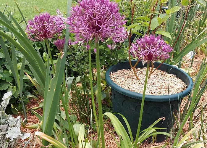 Maella- En Normandie, Confort, Et Piscine Saint-Michel-Tuboeuf