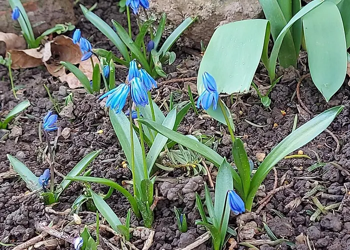 別荘 Maella- En Normandie, Confort, Et Piscine Saint-Michel-Tuboeuf
