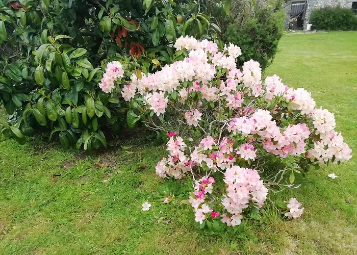 別荘 Maella- En Normandie, Confort, Et Piscine *