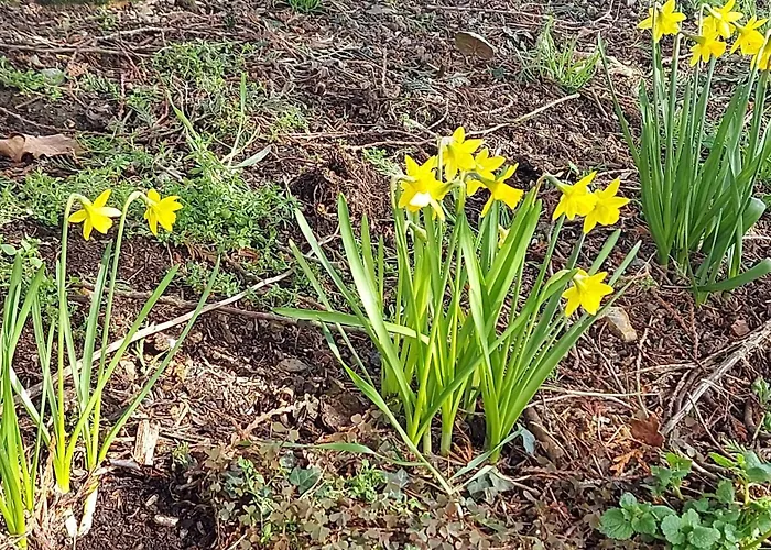 Maella- En Normandie, Confort, Et Piscine 別荘 Saint-Michel-Tuboeuf